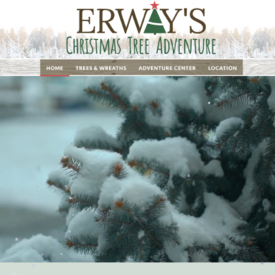 Erway's Christmas Tree Adventure